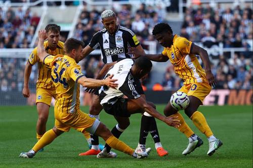 Newcastle United vs Brighton