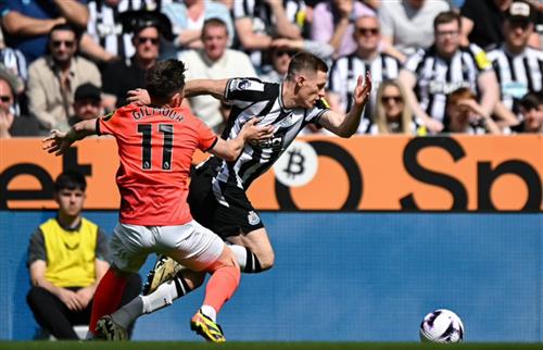 Newcastle United vs Brighton